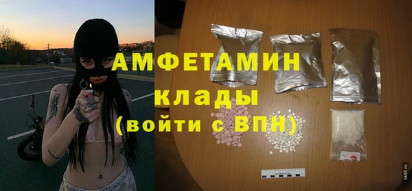 МДПВ Алзамай