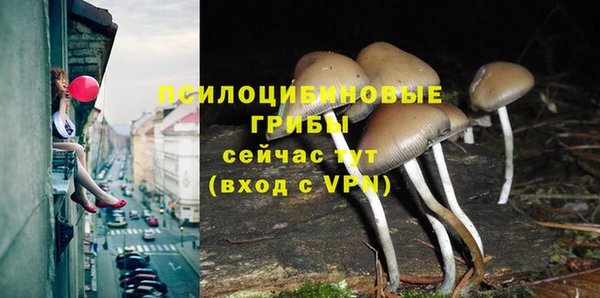 MESCALINE Алексеевка