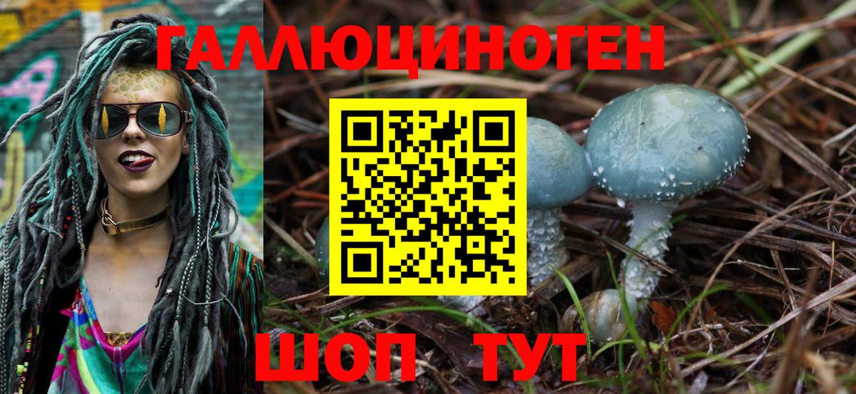 даркнет сайт  Псилоцибиновые грибы мухоморы  Вход с VPN  Галлюциногенные грибы GOLDEN TEACHER  Шадринск 