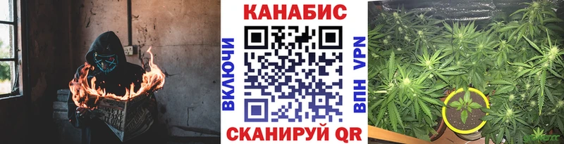 Шишки марихуана конопля Шадринск